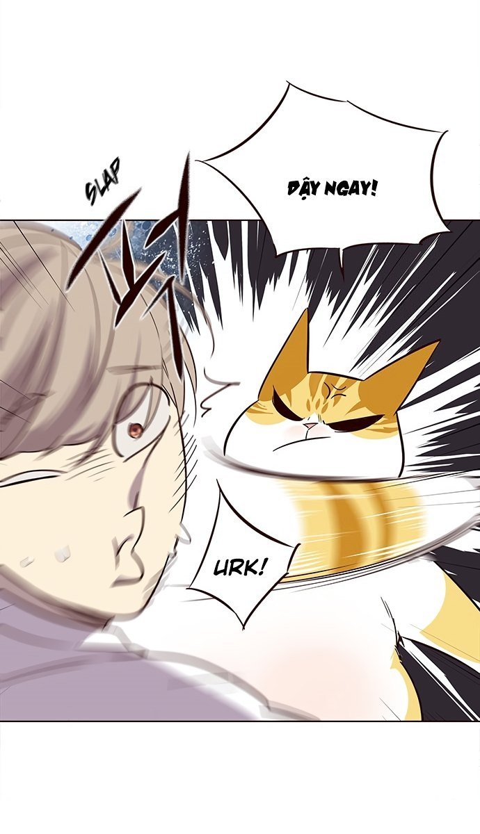 Đọc truyện Hoá thân thành mèo - Chap 21