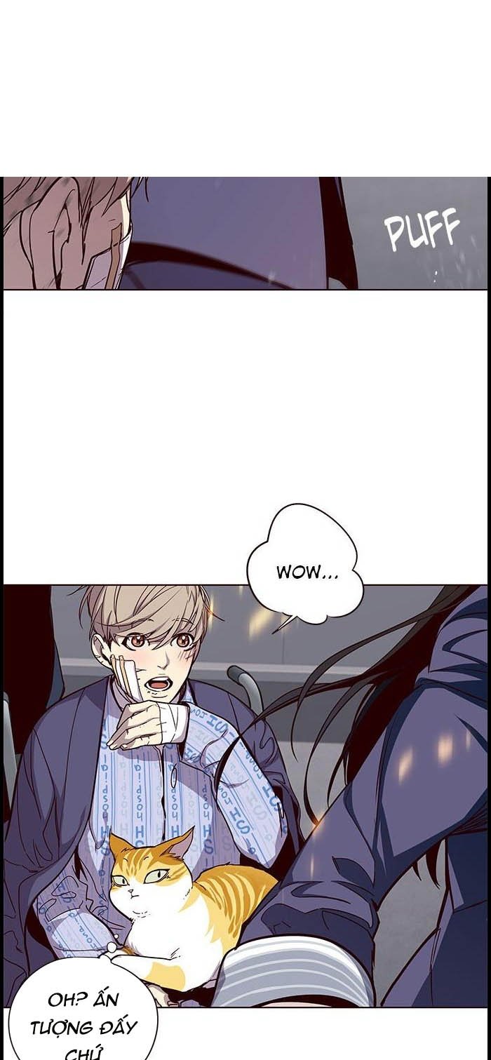 Đọc truyện Hoá thân thành mèo - Chap 33