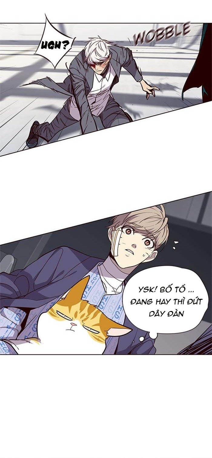 Đọc truyện Hoá thân thành mèo - Chap 33