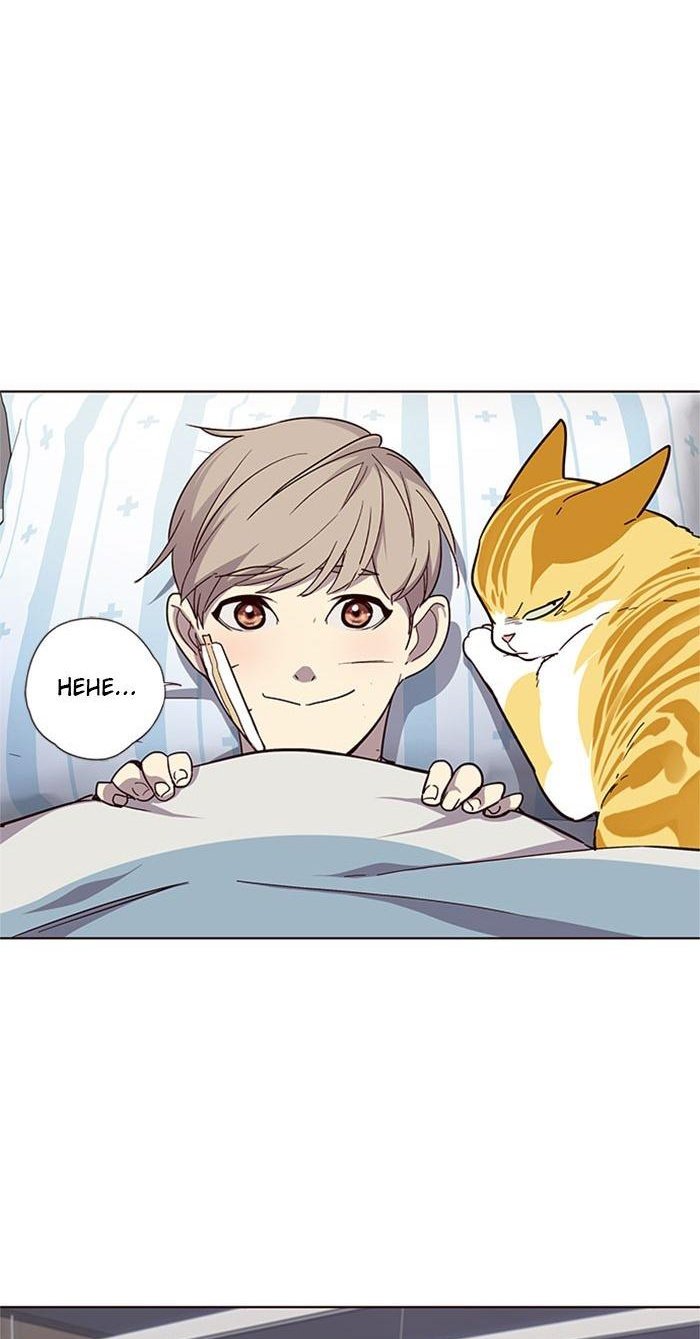 Đọc truyện Hoá thân thành mèo - Chap 33