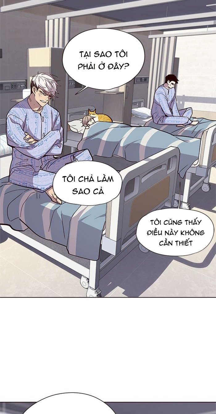 Đọc truyện Hoá thân thành mèo - Chap 33