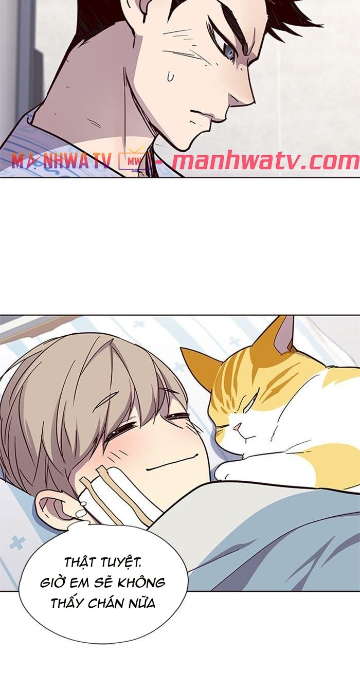 Đọc truyện Hoá thân thành mèo - Chap 33