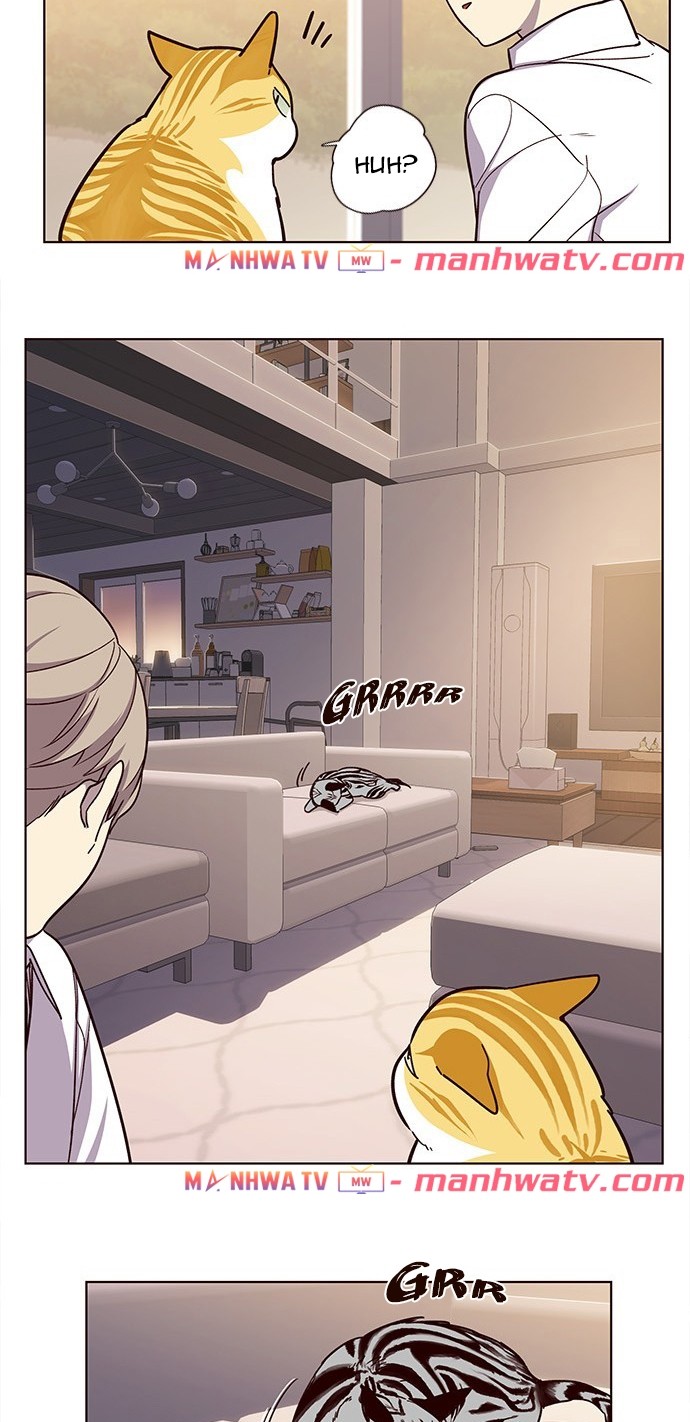 Đọc truyện Hoá thân thành mèo - Chap 10