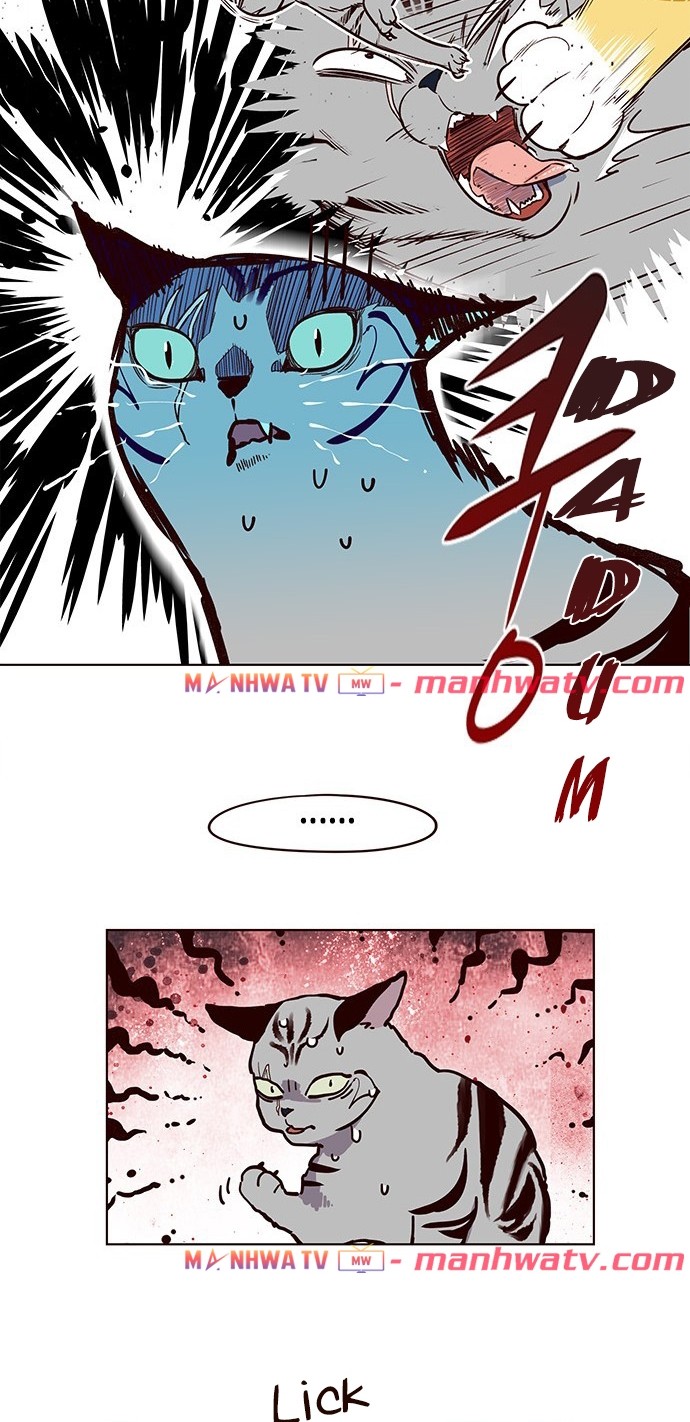 Đọc truyện Hoá thân thành mèo - Chap 10