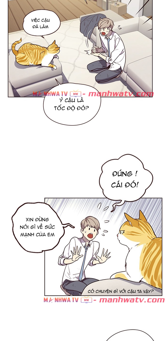 Đọc truyện Hoá thân thành mèo - Chap 4