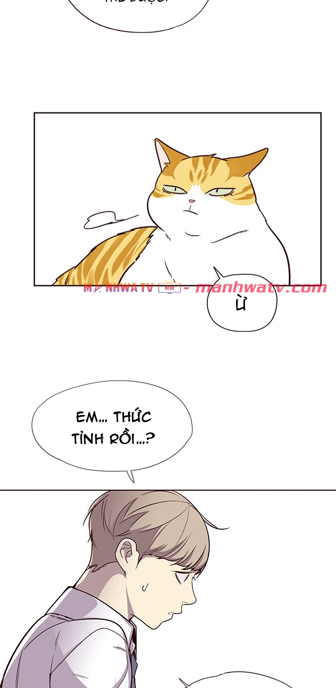 Đọc truyện Hoá thân thành mèo - Chap 4