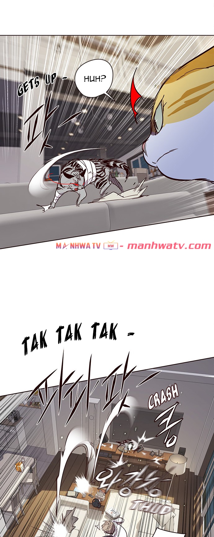 Đọc truyện Hoá thân thành mèo - Chap 4