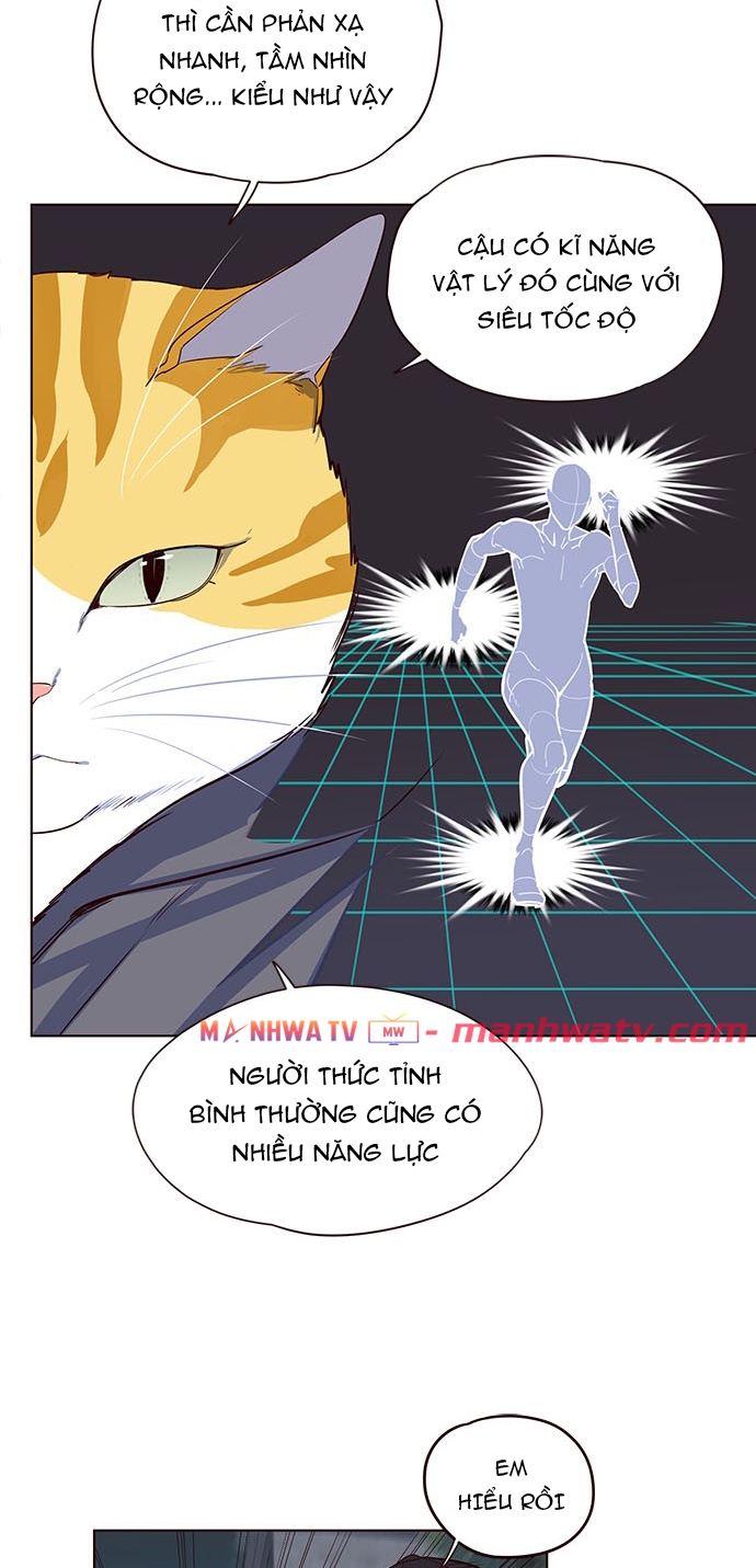 Đọc truyện Hoá thân thành mèo - Chap 5