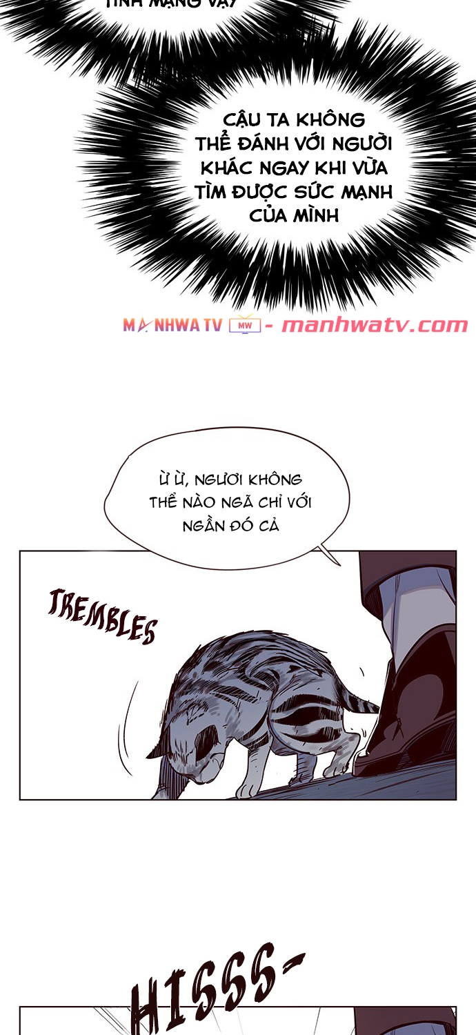 Đọc truyện Hoá thân thành mèo - Chap 5