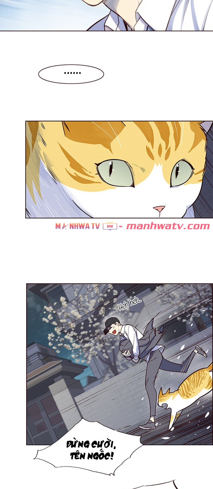 Đọc truyện Hoá thân thành mèo - Chap 5