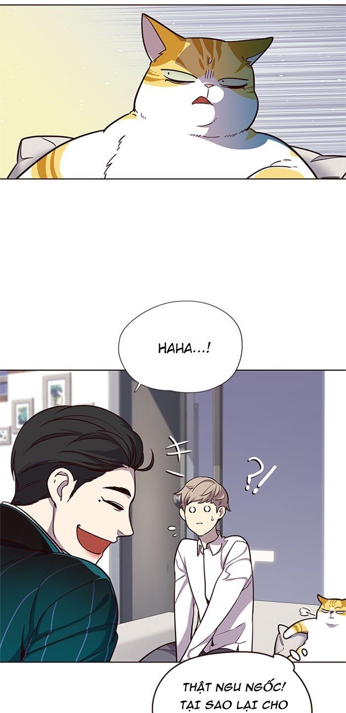 Đọc truyện Hoá thân thành mèo - Chap 17