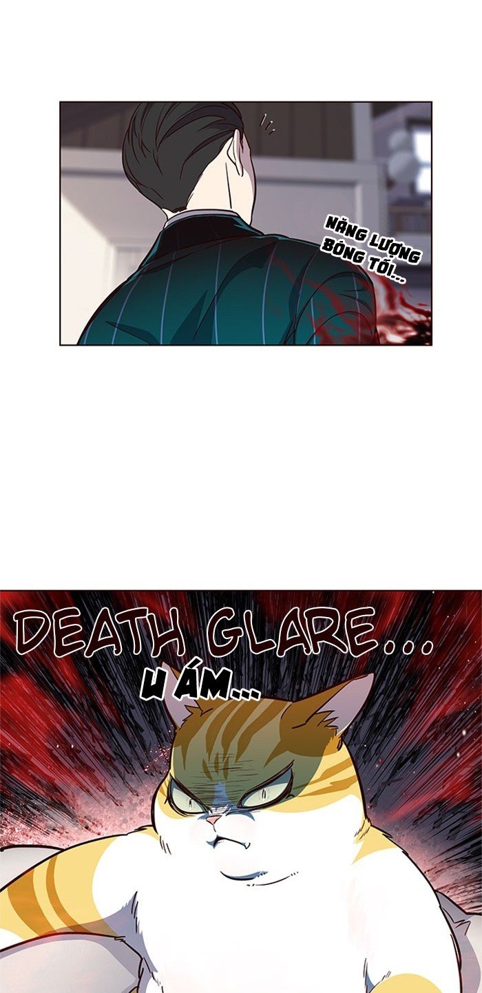 Đọc truyện Hoá thân thành mèo - Chap 17