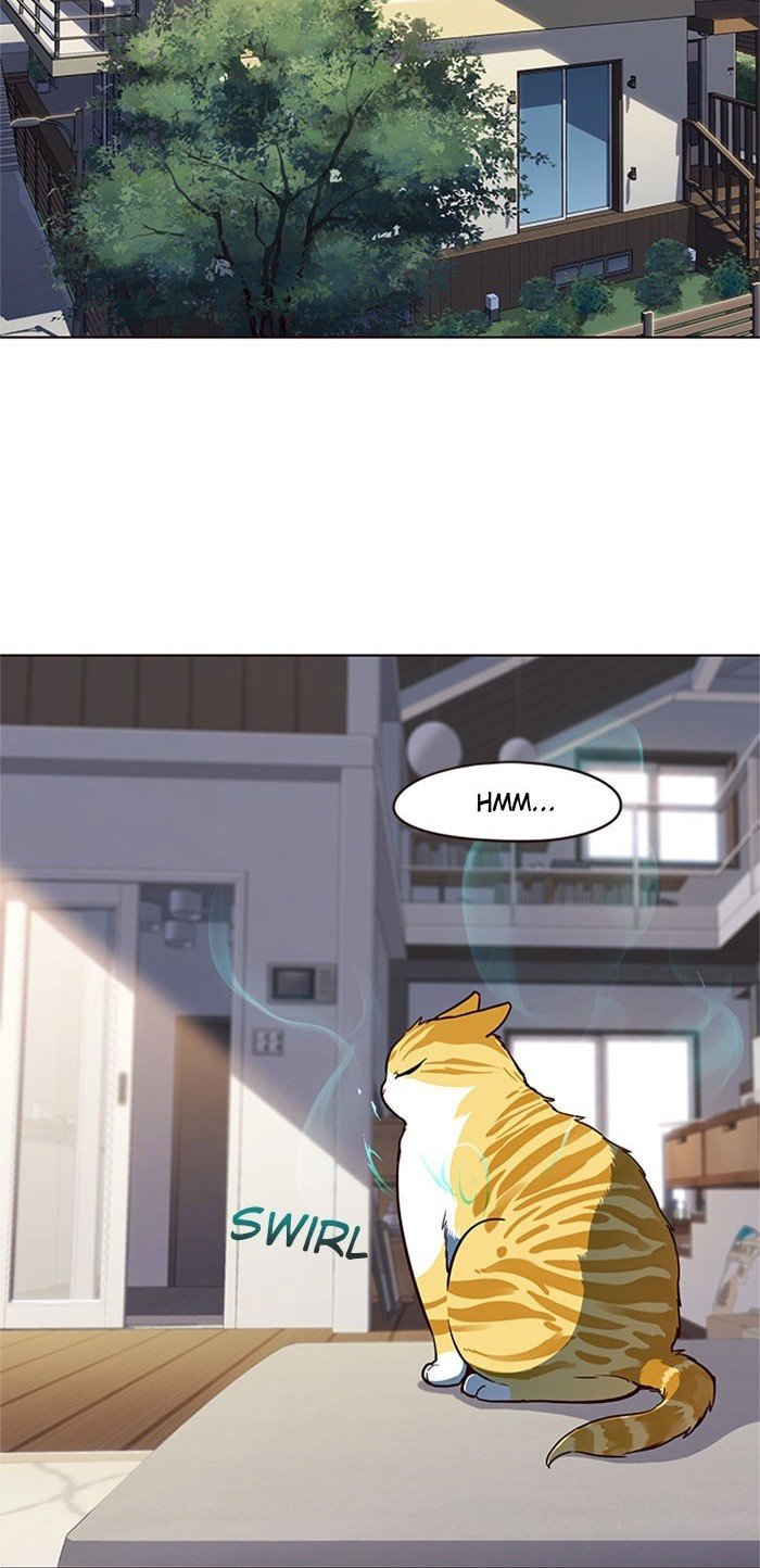 Đọc truyện Hoá thân thành mèo - Chap 17