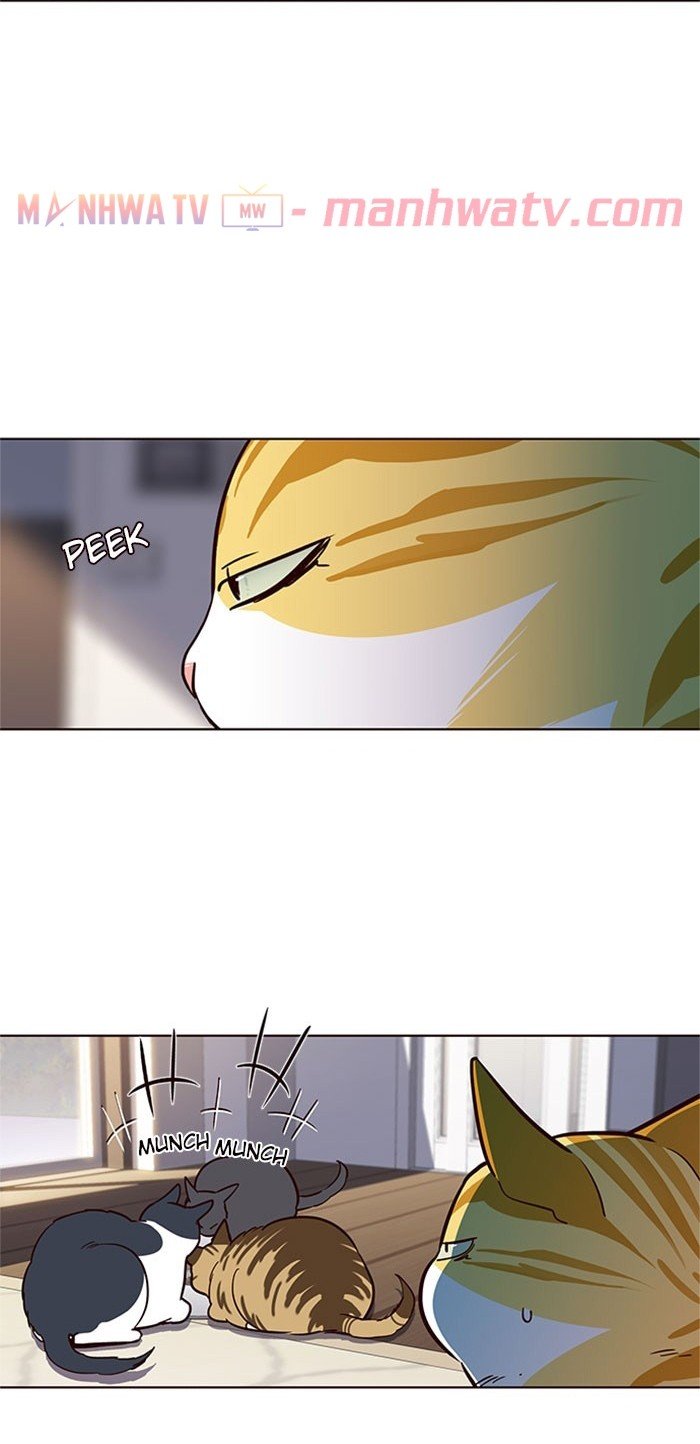 Đọc truyện Hoá thân thành mèo - Chap 17