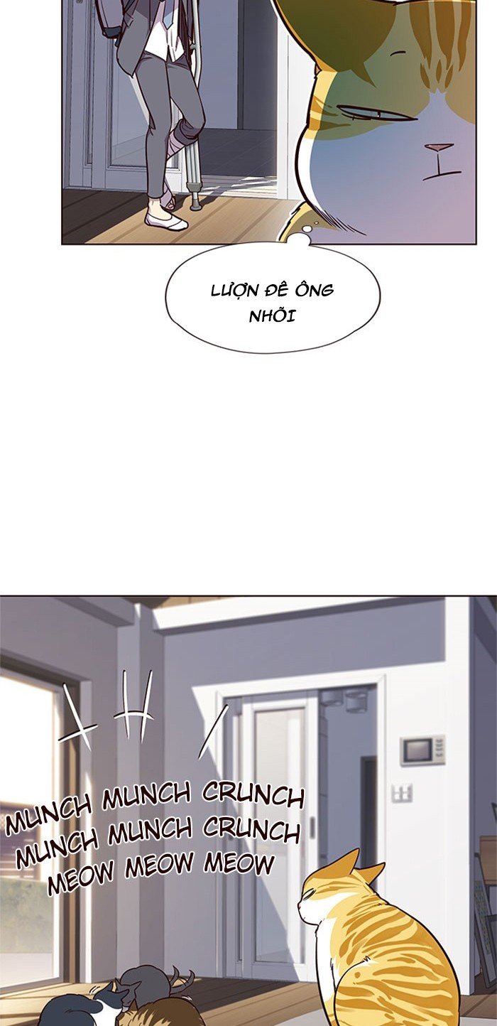 Đọc truyện Hoá thân thành mèo - Chap 17