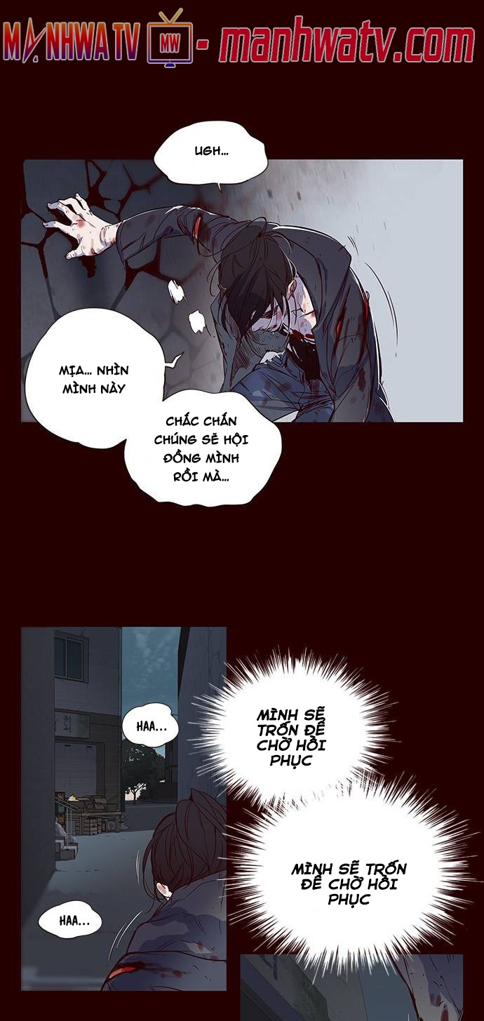 Đọc truyện Hoá thân thành mèo - Chap 1
