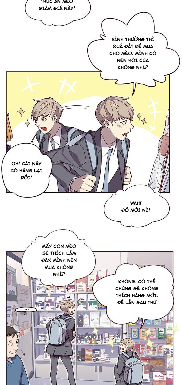 Đọc truyện Hoá thân thành mèo - Chap 1