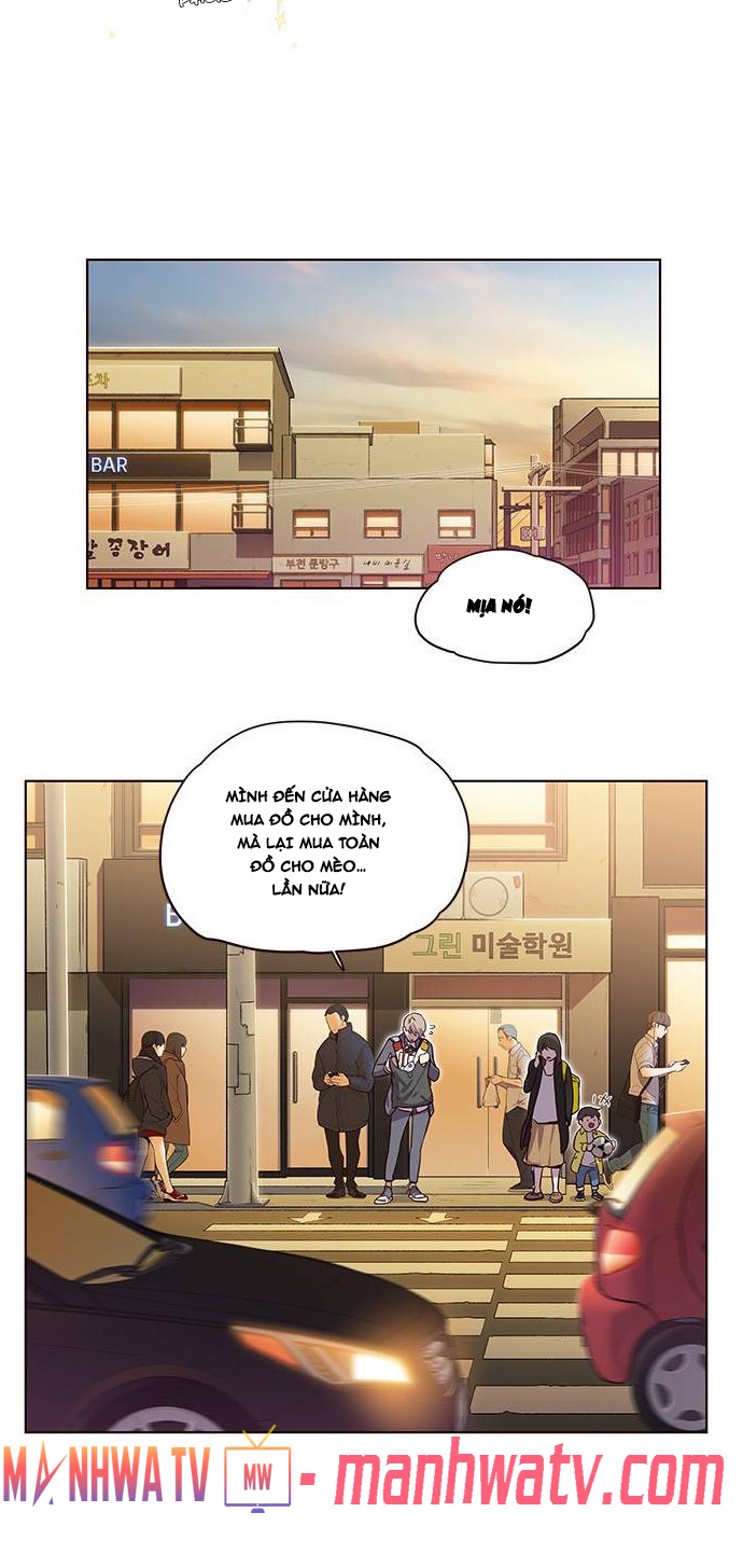 Đọc truyện Hoá thân thành mèo - Chap 1