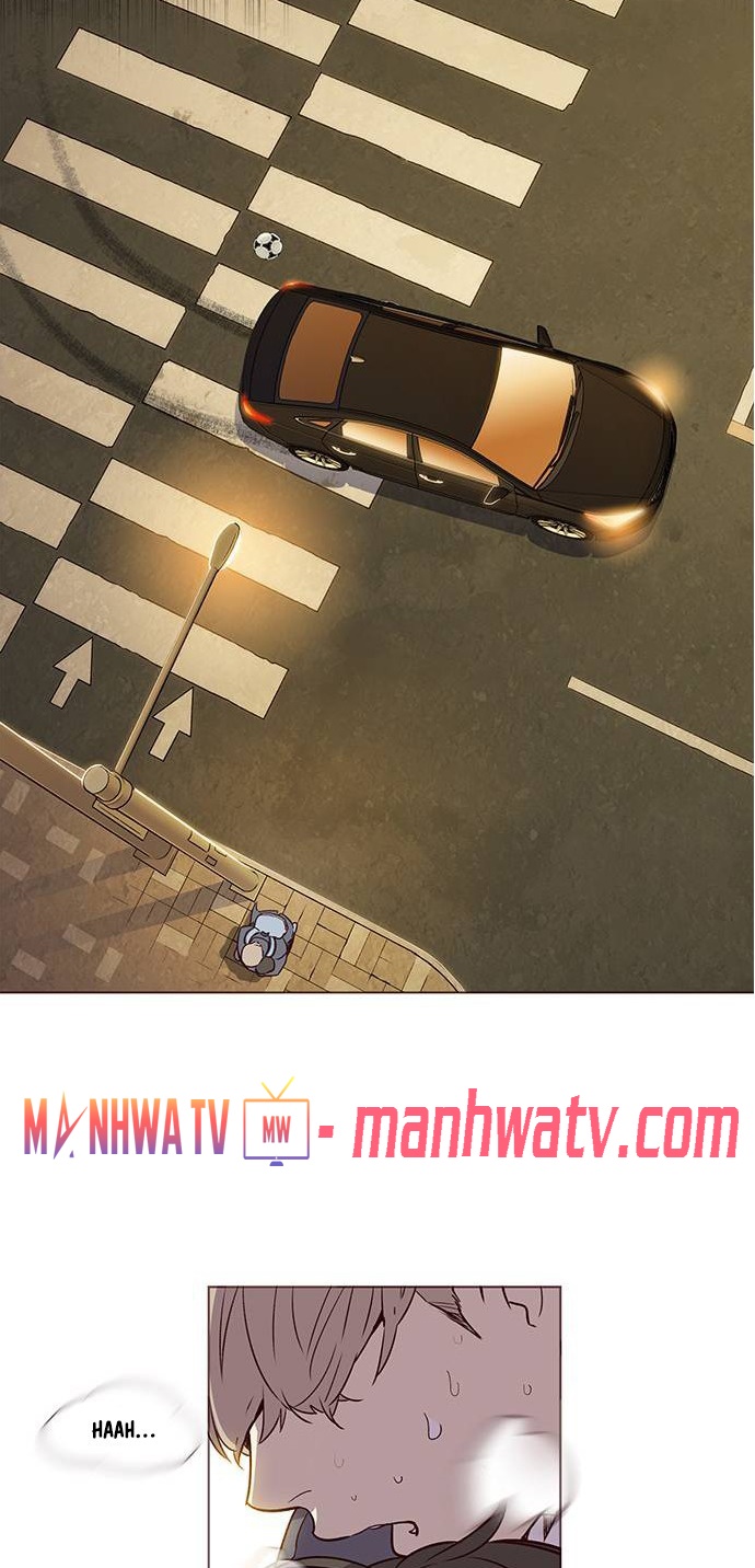 Đọc truyện Hoá thân thành mèo - Chap 1