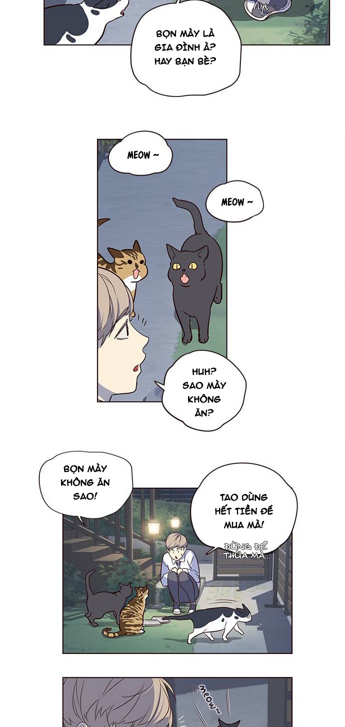 Đọc truyện Hoá thân thành mèo - Chap 1