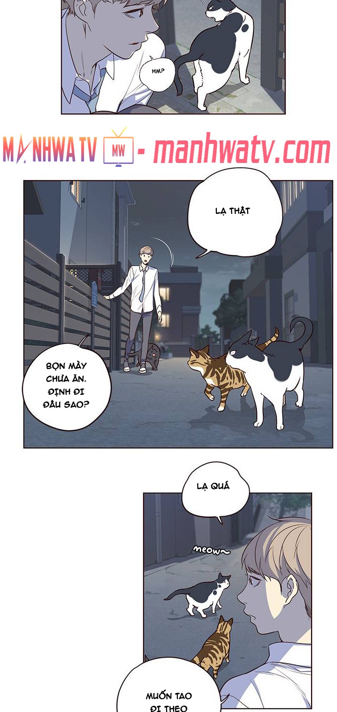 Đọc truyện Hoá thân thành mèo - Chap 1