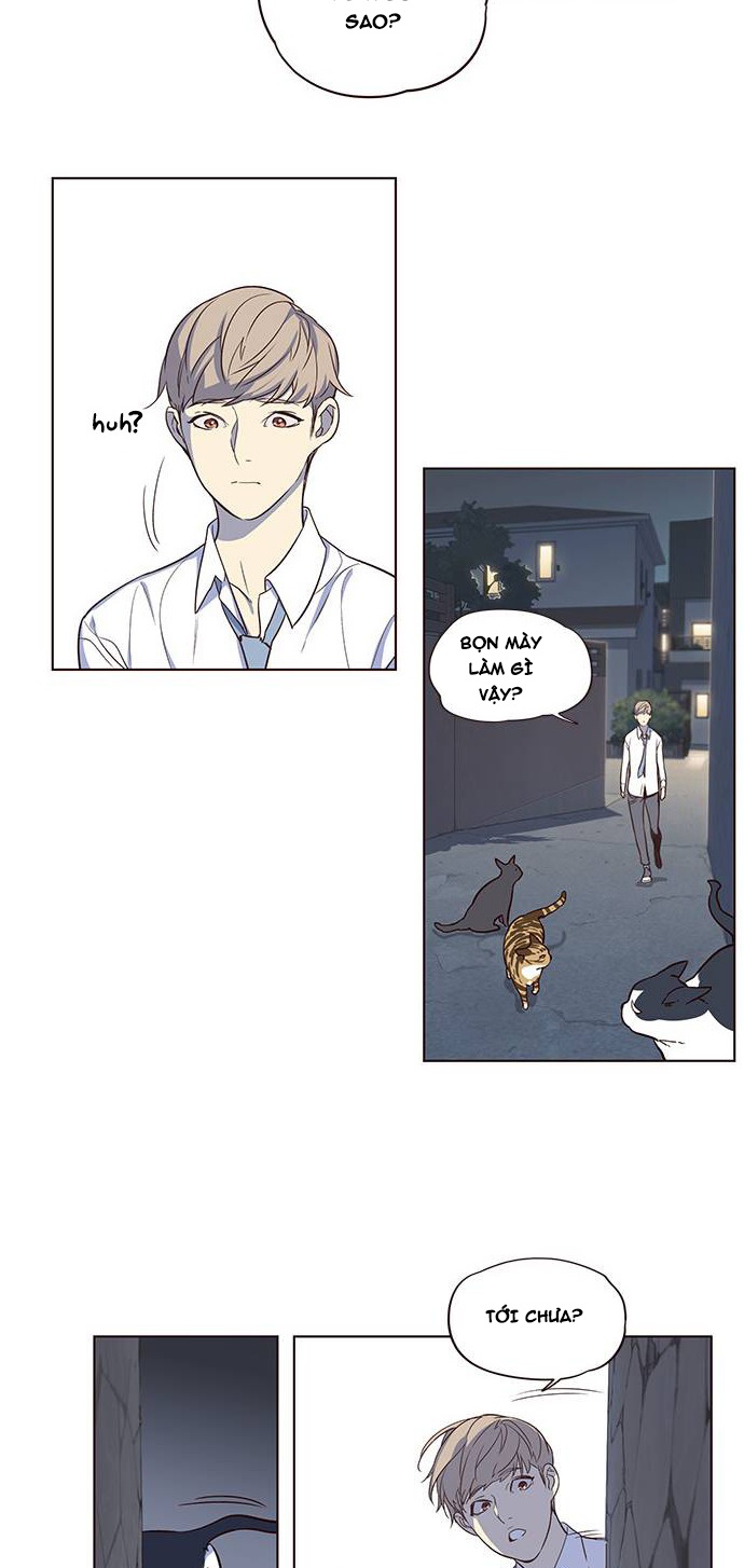 Đọc truyện Hoá thân thành mèo - Chap 1