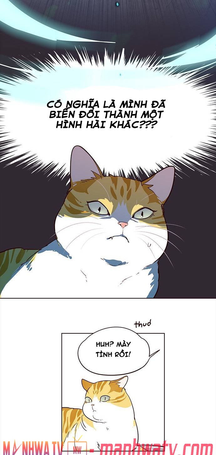 Đọc truyện Hoá thân thành mèo - Chap 1