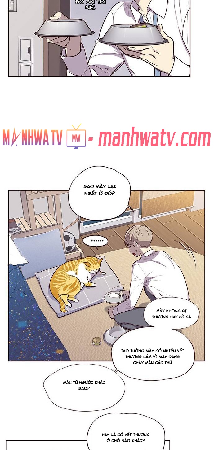 Đọc truyện Hoá thân thành mèo - Chap 1
