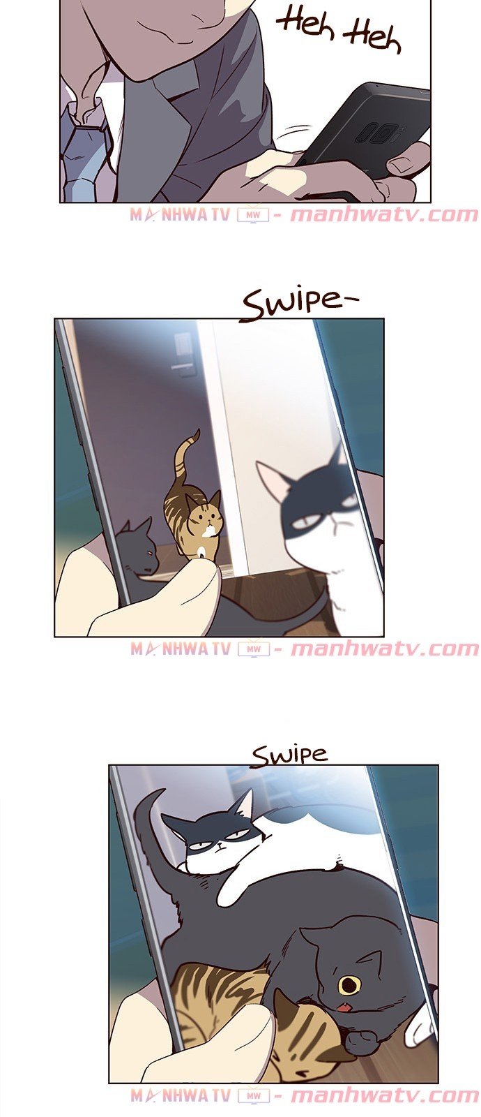 Đọc truyện Hoá thân thành mèo - Chap 11