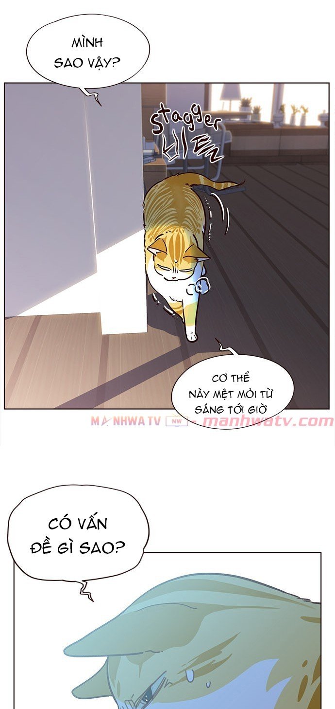 Đọc truyện Hoá thân thành mèo - Chap 11