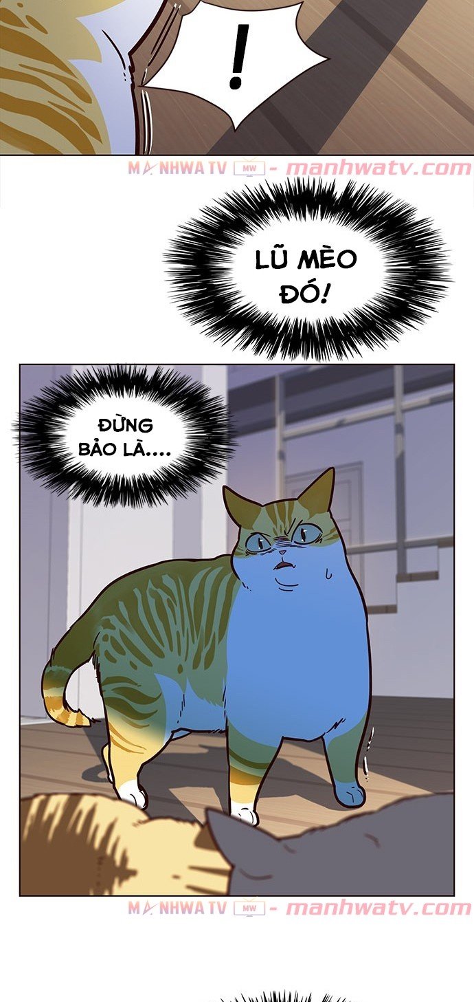 Đọc truyện Hoá thân thành mèo - Chap 11