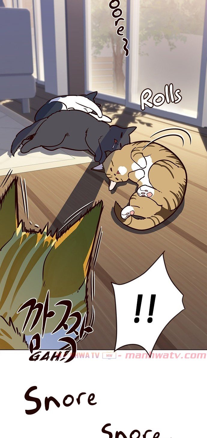 Đọc truyện Hoá thân thành mèo - Chap 11