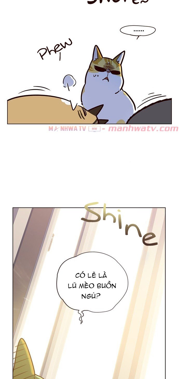 Đọc truyện Hoá thân thành mèo - Chap 11