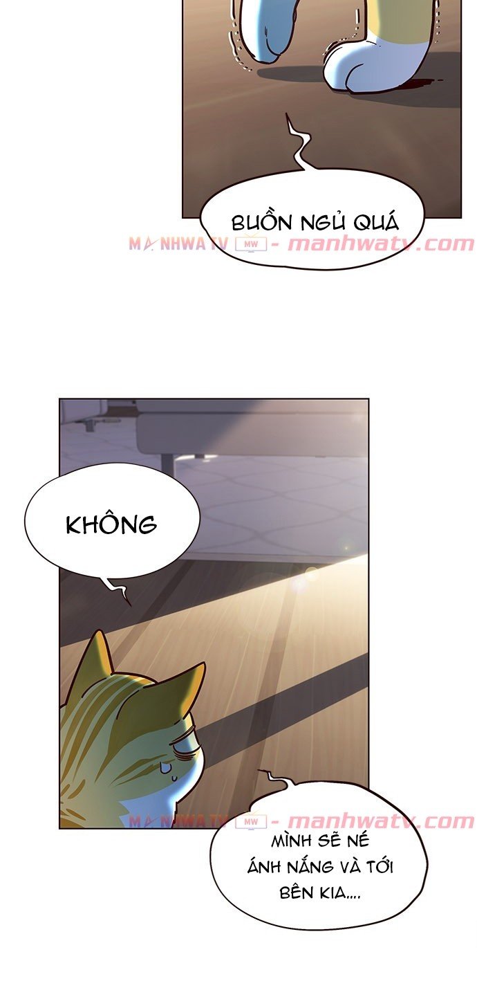 Đọc truyện Hoá thân thành mèo - Chap 11