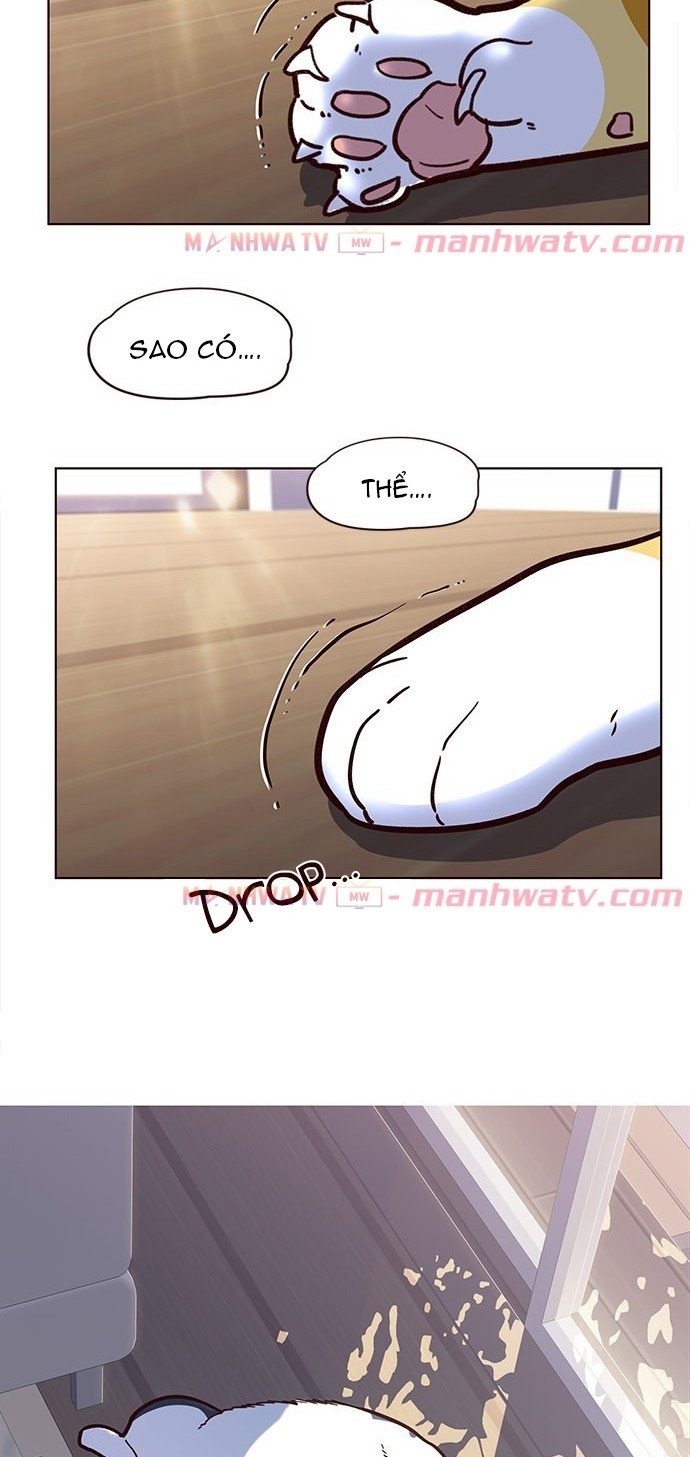 Đọc truyện Hoá thân thành mèo - Chap 11