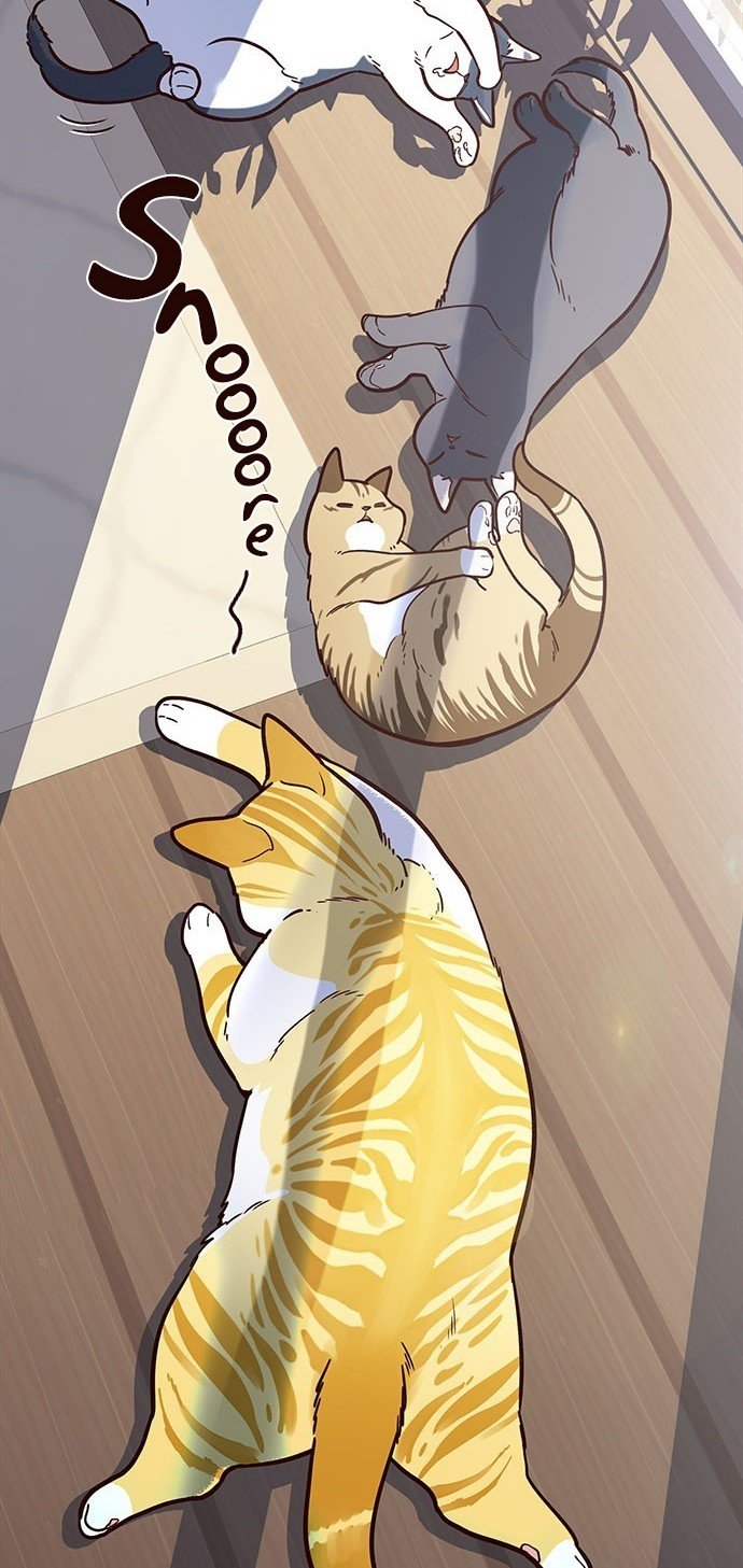 Đọc truyện Hoá thân thành mèo - Chap 11