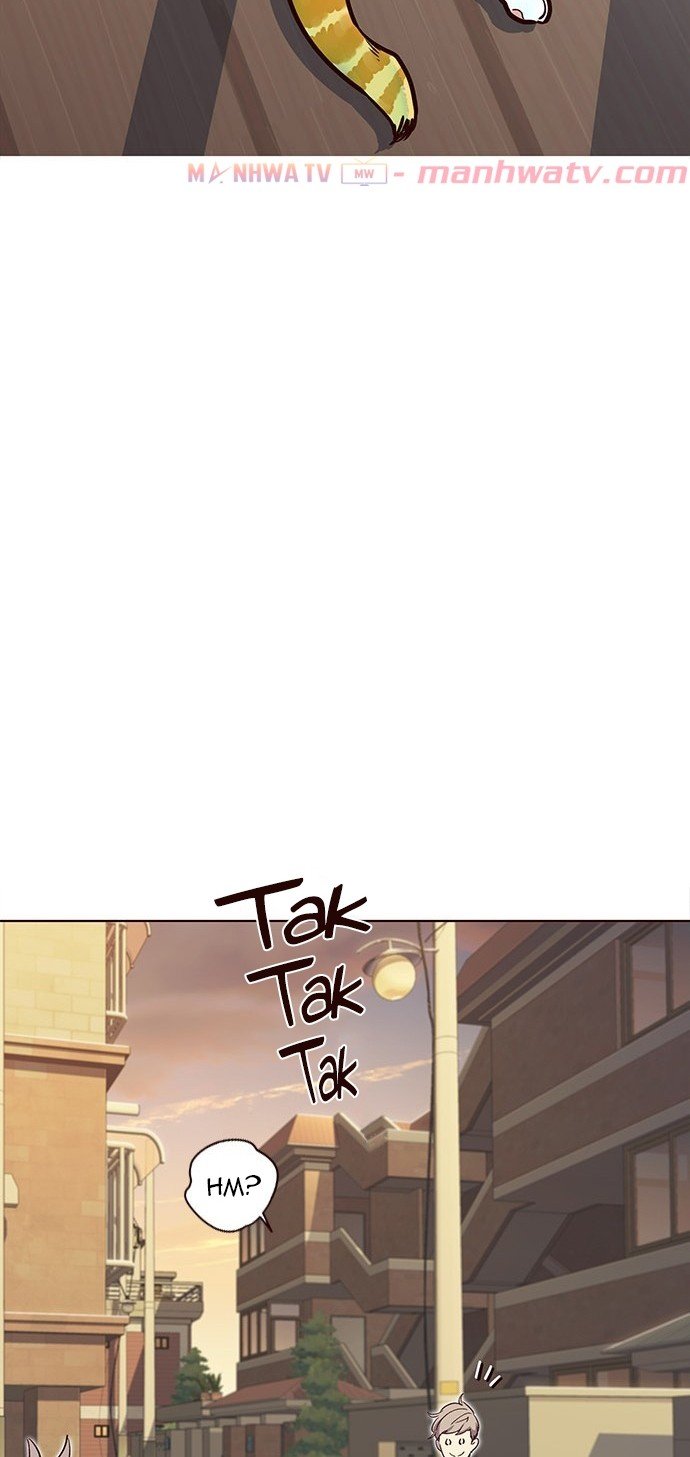 Đọc truyện Hoá thân thành mèo - Chap 11