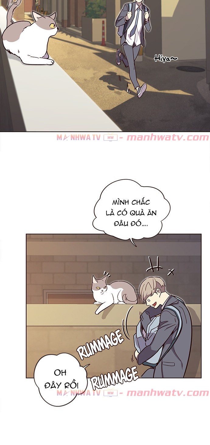 Đọc truyện Hoá thân thành mèo - Chap 11