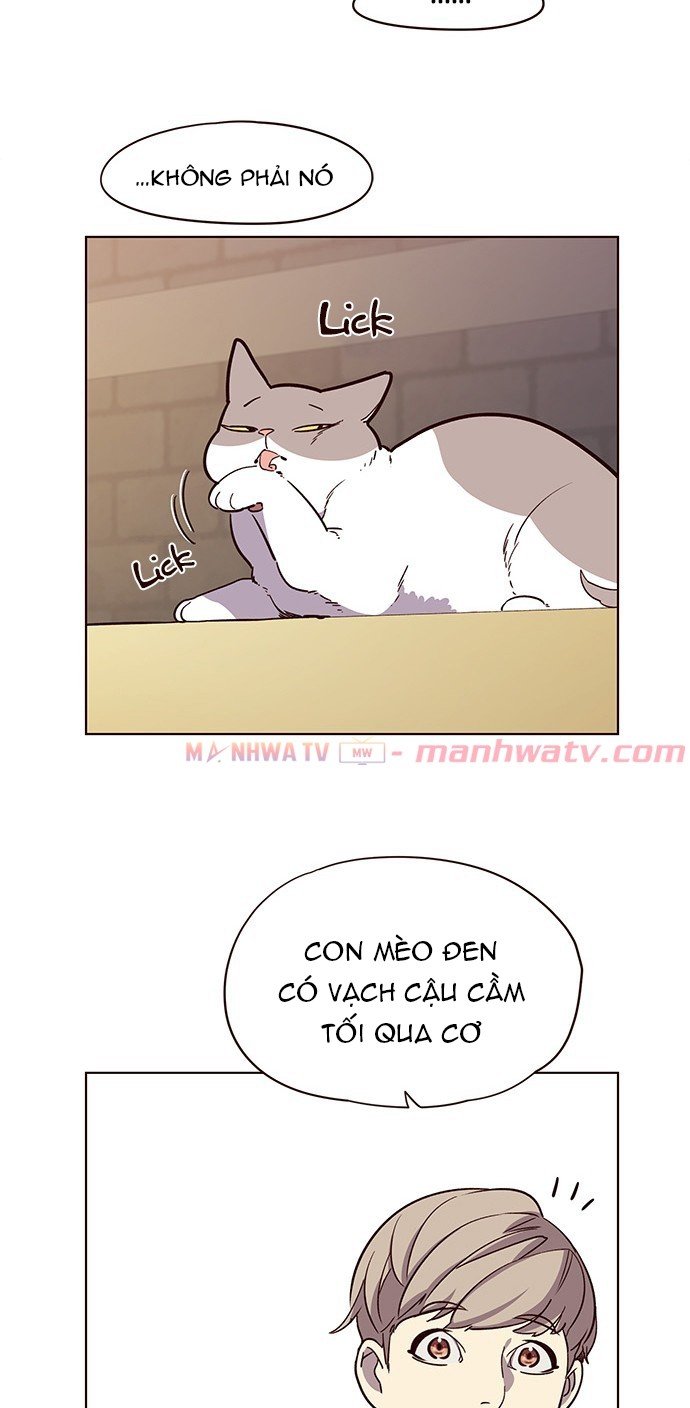 Đọc truyện Hoá thân thành mèo - Chap 11