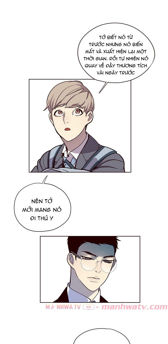 Đọc truyện Hoá thân thành mèo - Chap 11