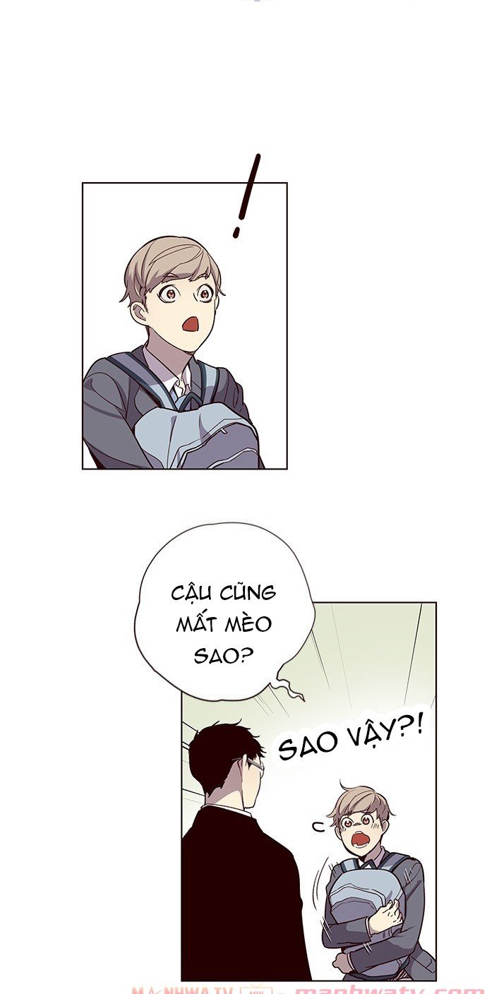 Đọc truyện Hoá thân thành mèo - Chap 11