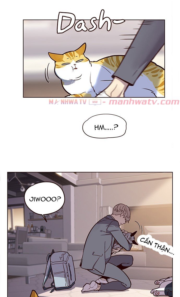 Đọc truyện Hoá thân thành mèo - Chap 11
