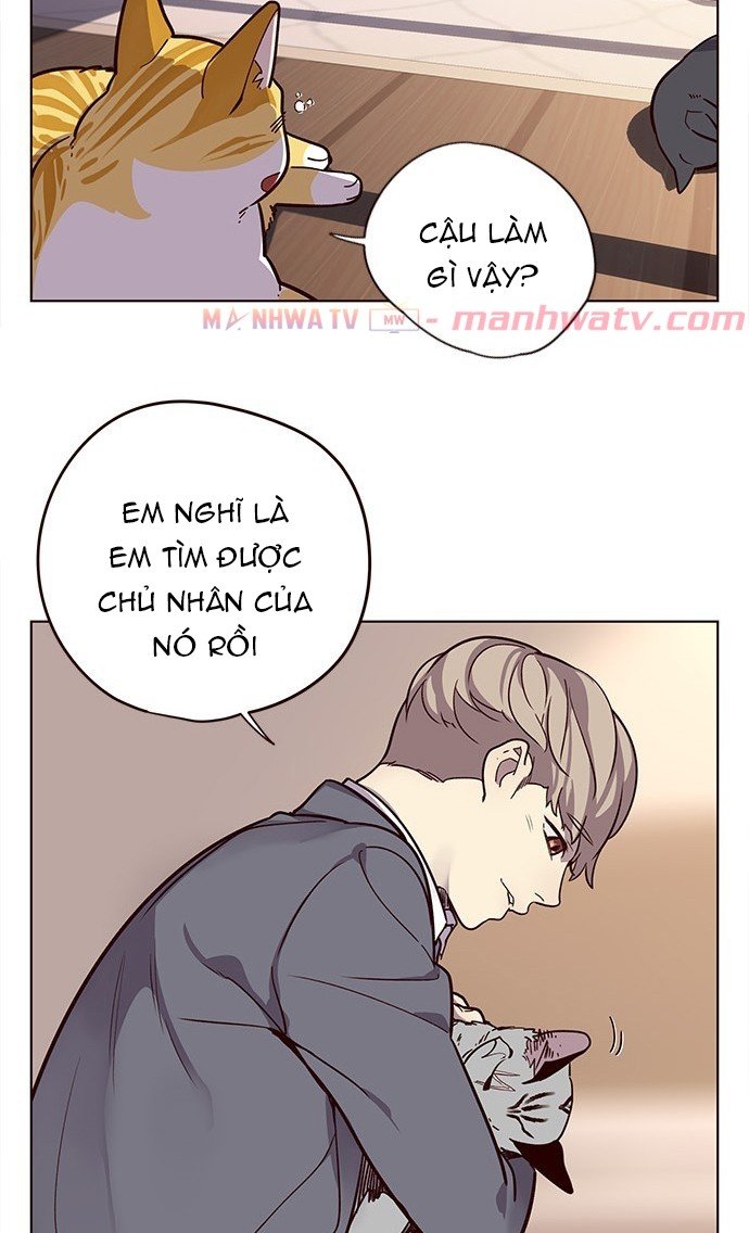 Đọc truyện Hoá thân thành mèo - Chap 11