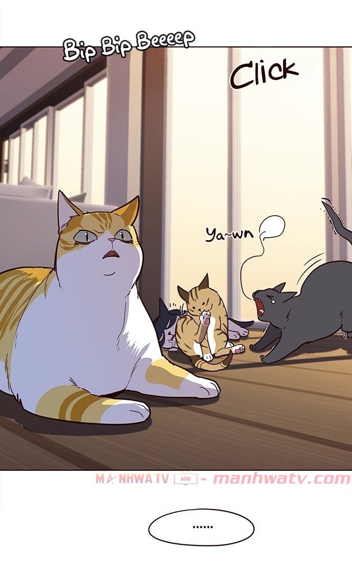 Đọc truyện Hoá thân thành mèo - Chap 11