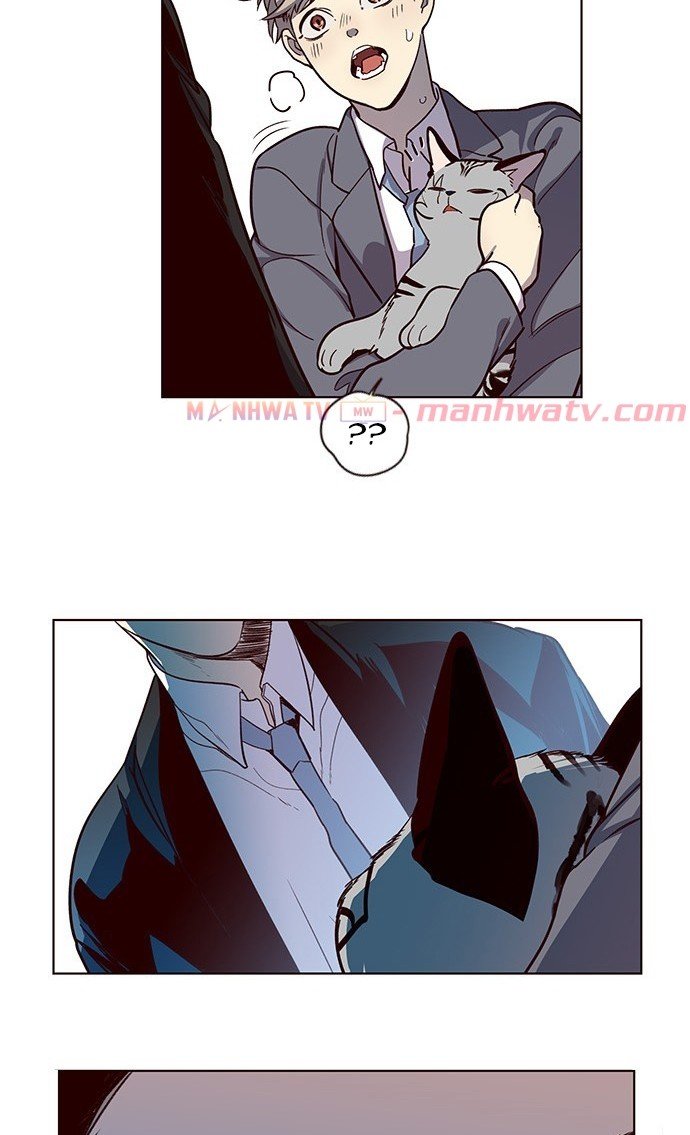 Đọc truyện Hoá thân thành mèo - Chap 11