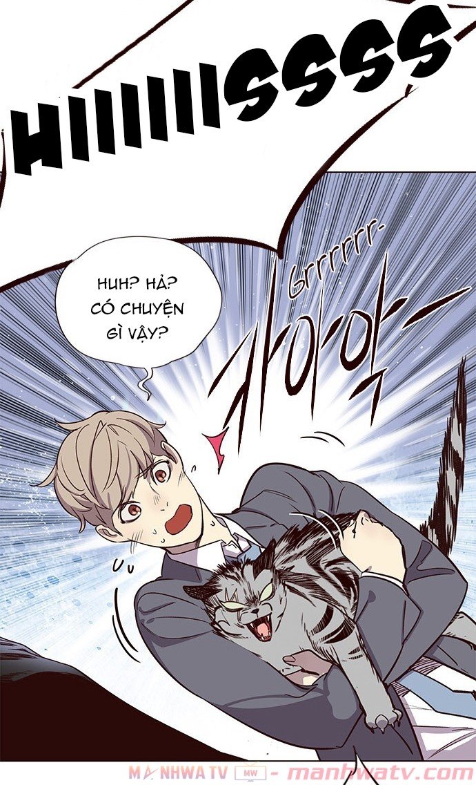 Đọc truyện Hoá thân thành mèo - Chap 11