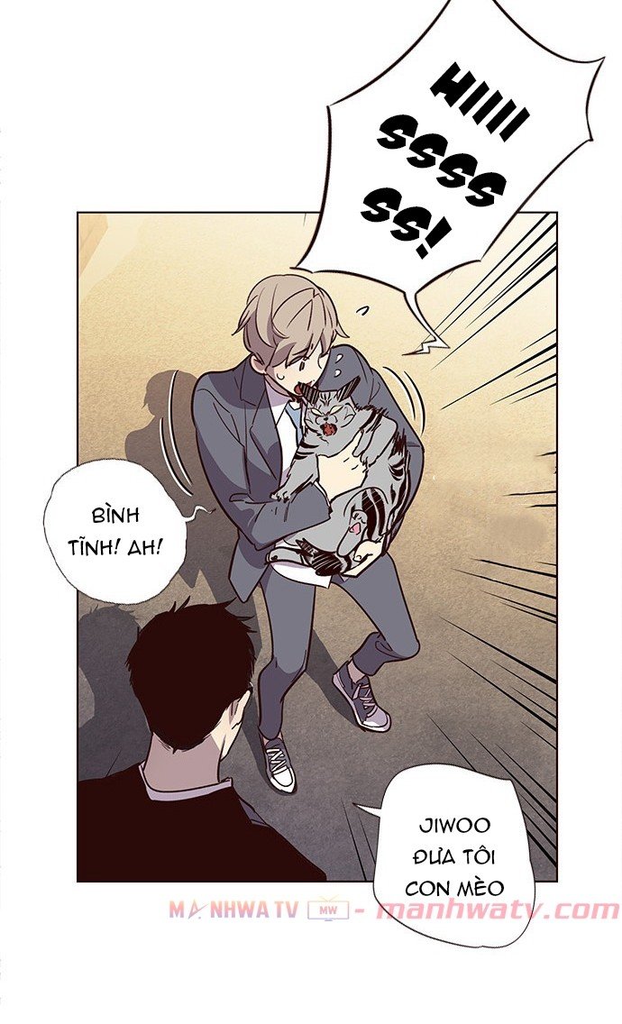 Đọc truyện Hoá thân thành mèo - Chap 11