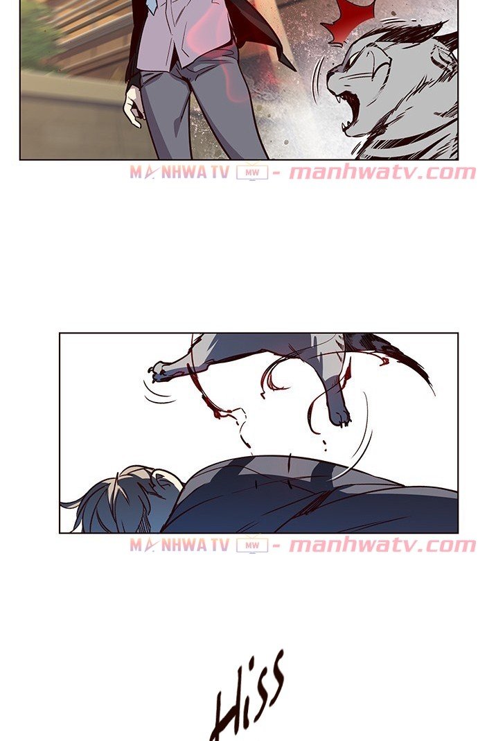 Đọc truyện Hoá thân thành mèo - Chap 11