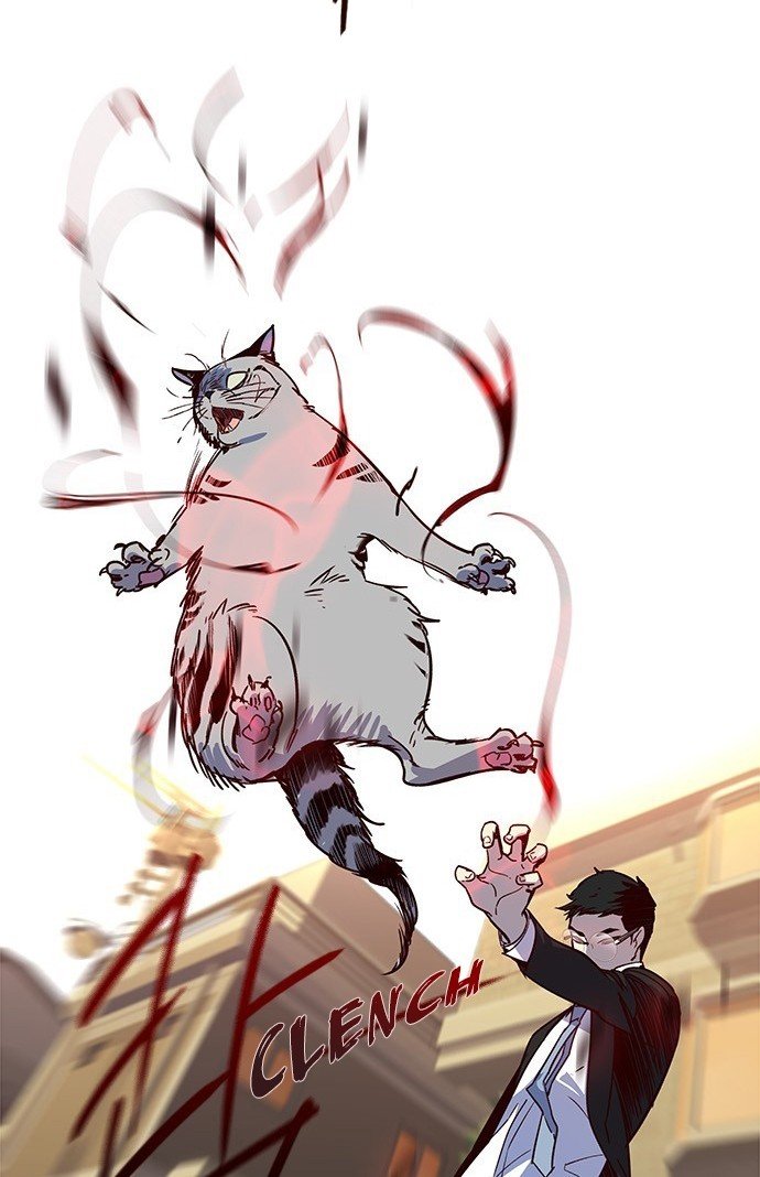 Đọc truyện Hoá thân thành mèo - Chap 11