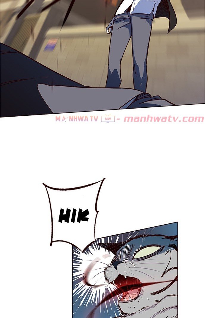 Đọc truyện Hoá thân thành mèo - Chap 11